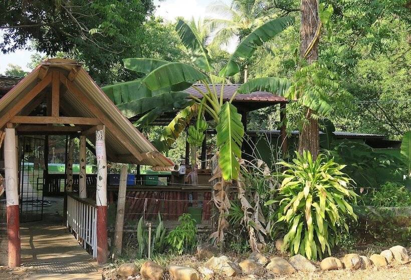 هتل Waterfall Hostel