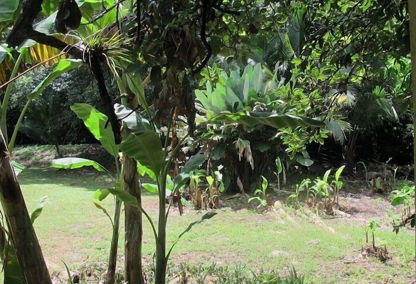 هتل Waterfall Hostel
