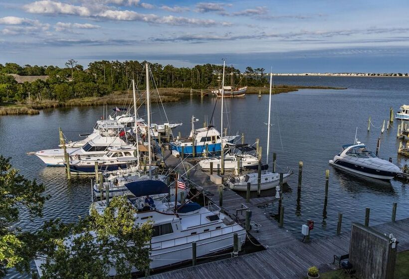 هاستل The Tranquil House Inn