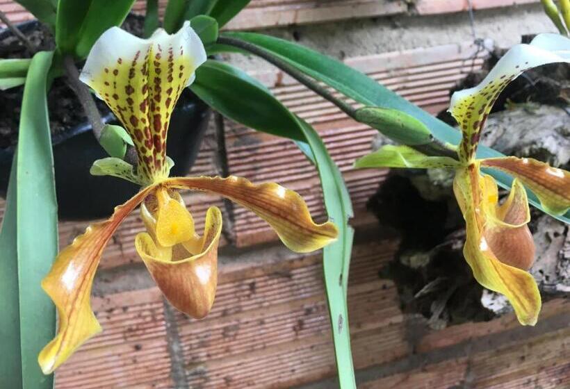 مبيت وإفطار Finca Renacer
