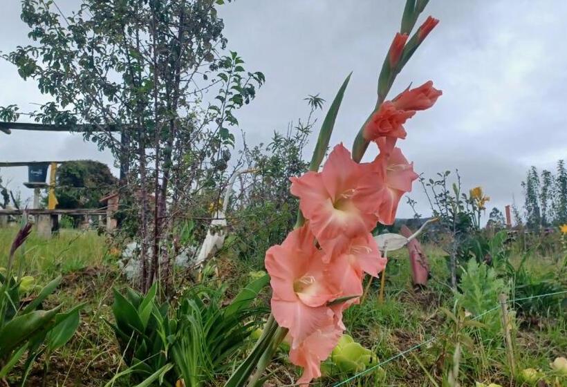 مبيت وإفطار Finca Renacer