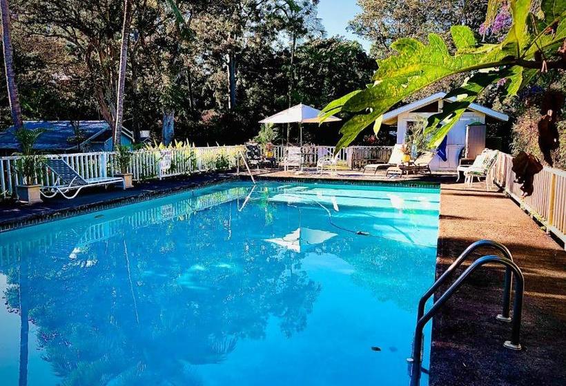 فندق Hawi Guest House