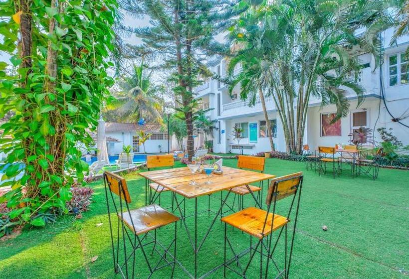 هتل The Boho, Vagator Beach Goa Near Thalassa