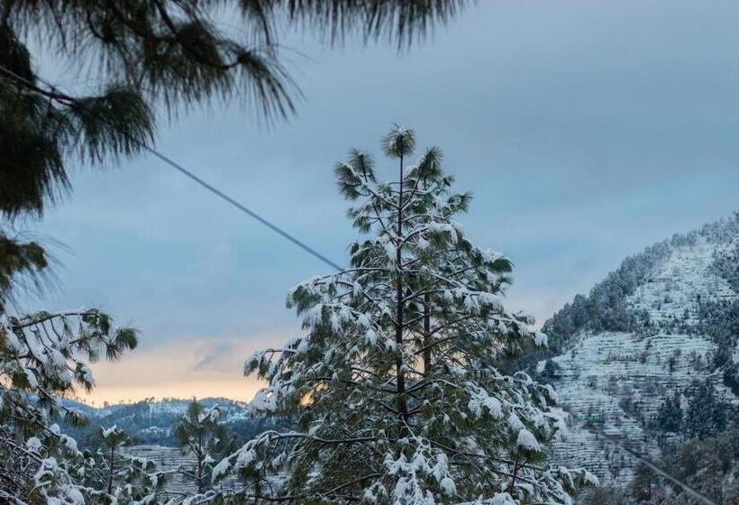 בית מלון כפרי Thehimalayanliving Whistling Pines