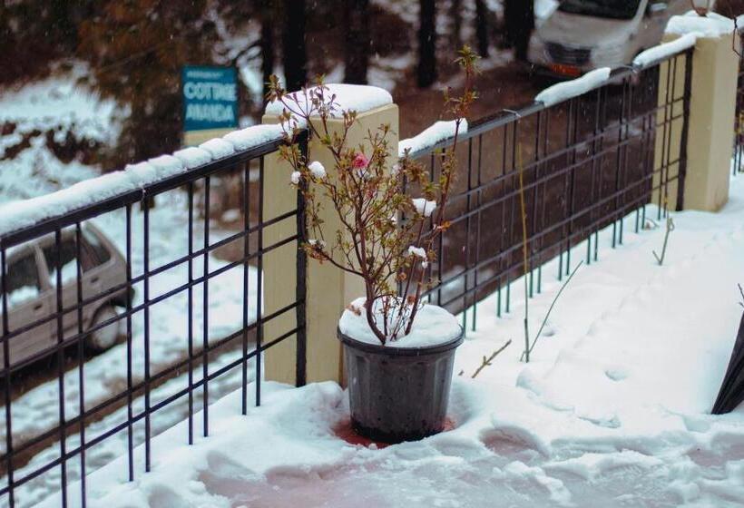 בית מלון כפרי Thehimalayanliving Whistling Pines