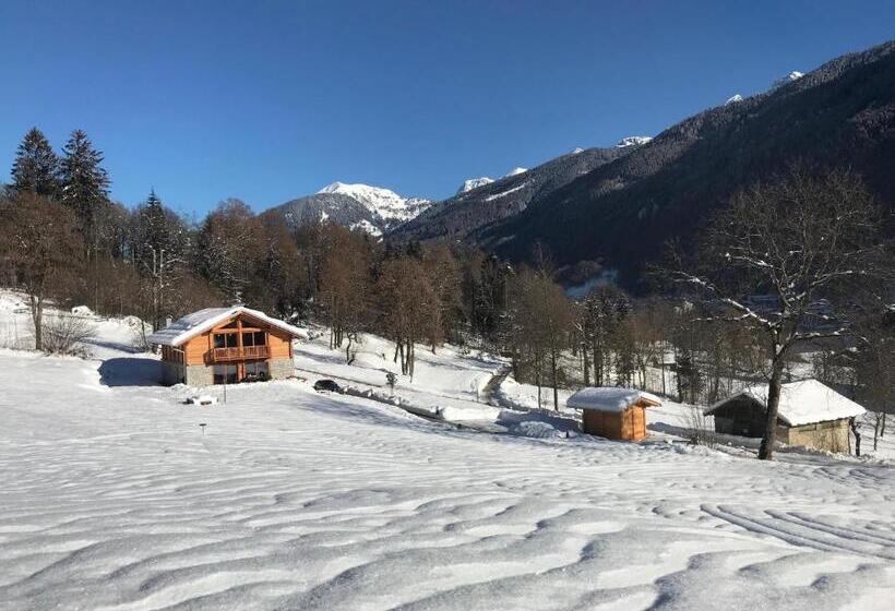 B & B Chalet Plan