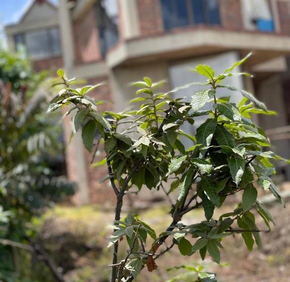 تختخواب و صبحانه Campestre Villa Los Duraznos