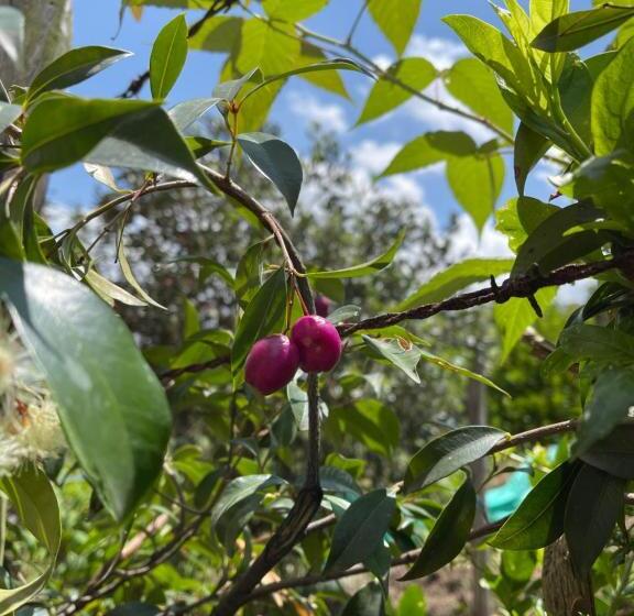 تختخواب و صبحانه Campestre Villa Los Duraznos