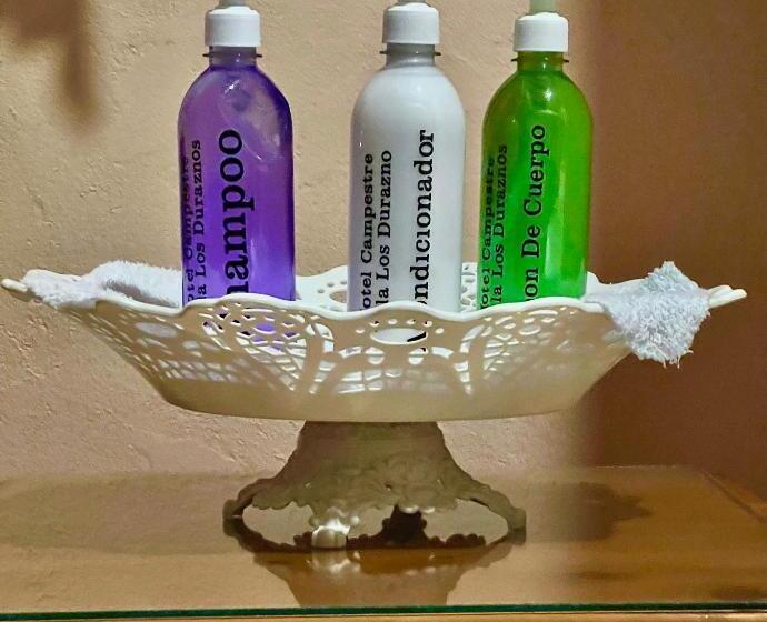 تختخواب و صبحانه Campestre Villa Los Duraznos