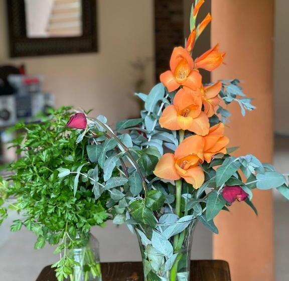 تختخواب و صبحانه Campestre Villa Los Duraznos