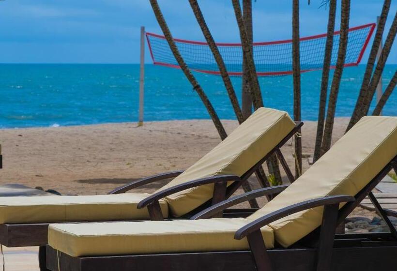 هتل Coconuco Beach Palomino
