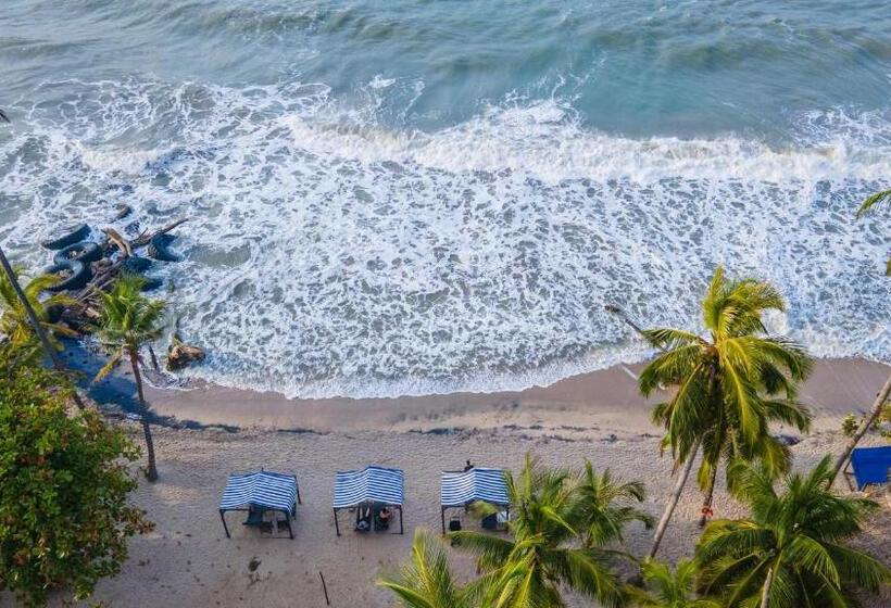 هتل Coconuco Beach Palomino