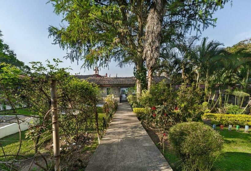 Отель Hacienda San Bartolo