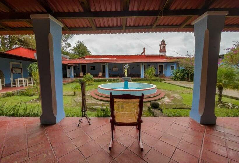 فندق Hacienda San Bartolo