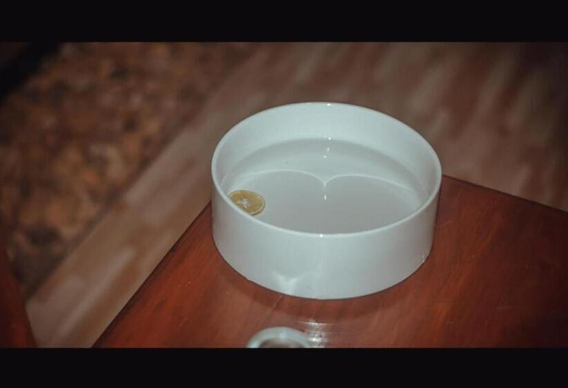 ペンション Virgin Forest Inn