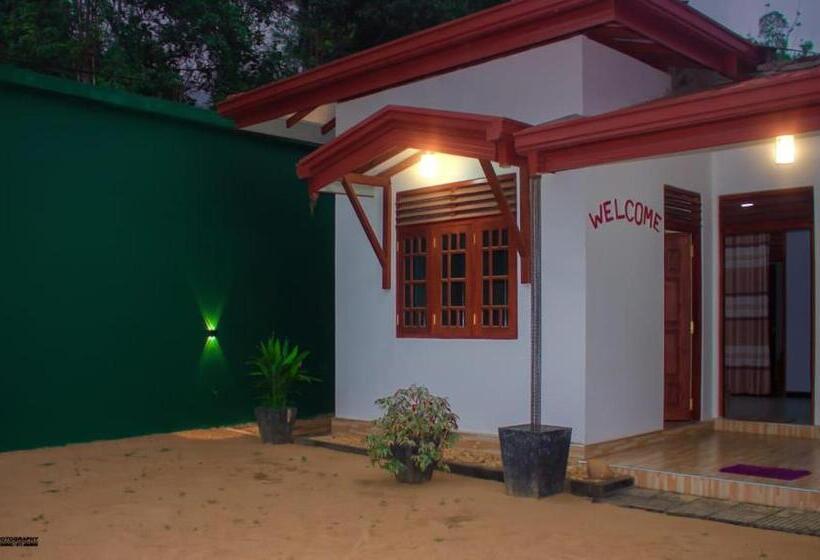 ペンション Virgin Forest Inn