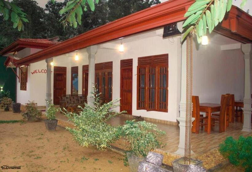 ペンション Virgin Forest Inn