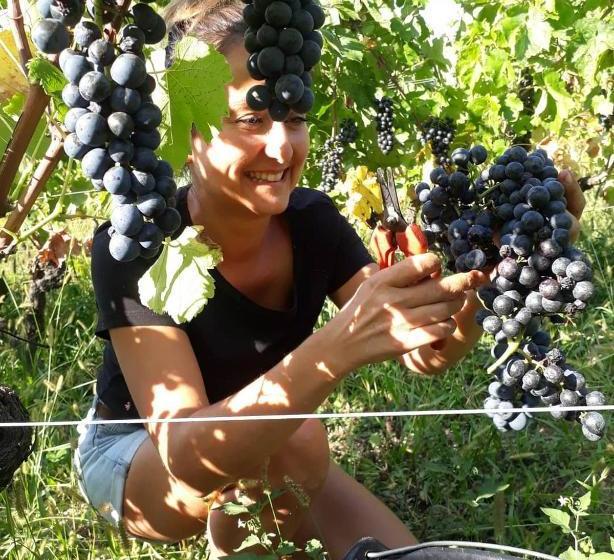 تختخواب و صبحانه Domaine Jacqueline Père & Filles