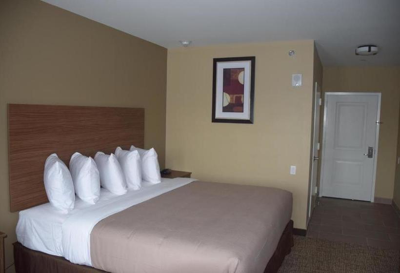 Hotel Astoria Delancy Inn And Suites