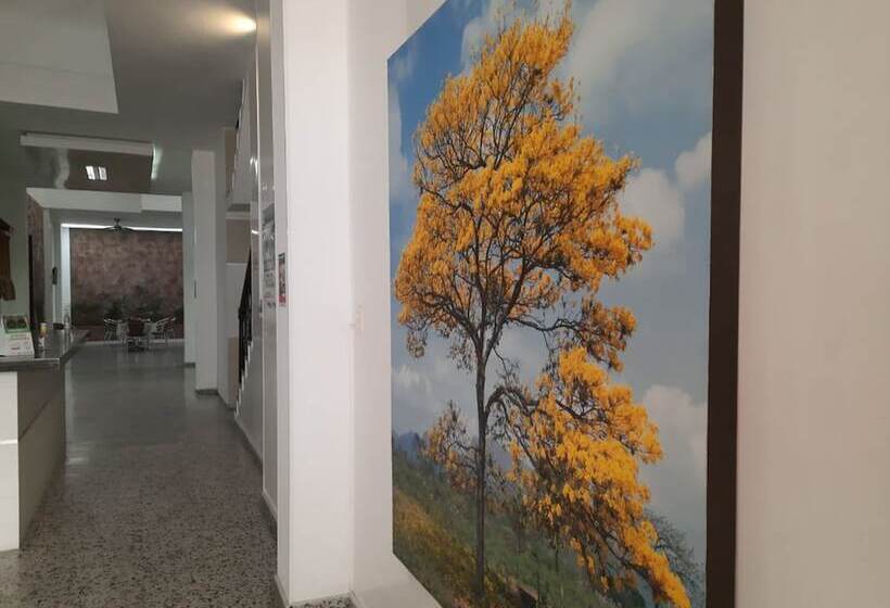 هتل El Flor Amarillo