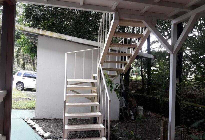 هتل Rio Danta Hostel