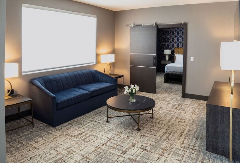 هتل Springhill Suites By Marriott Chicago Chinatown