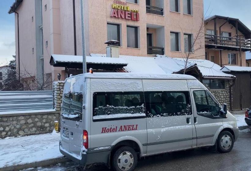 هتل Aneli