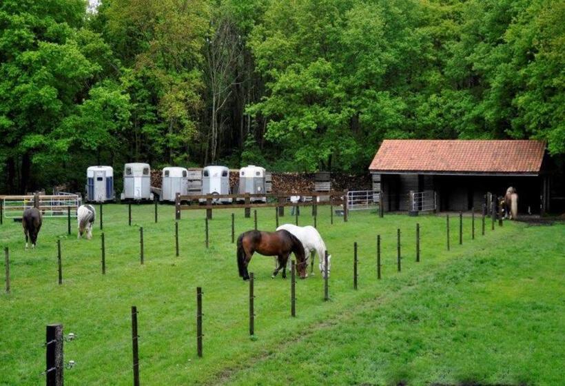 هتل B&b De Edelsteen