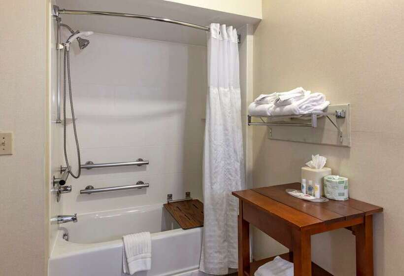 ホテル Comfort Suites Raleigh Walnut Creek