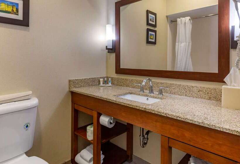 ホテル Comfort Suites Raleigh Walnut Creek