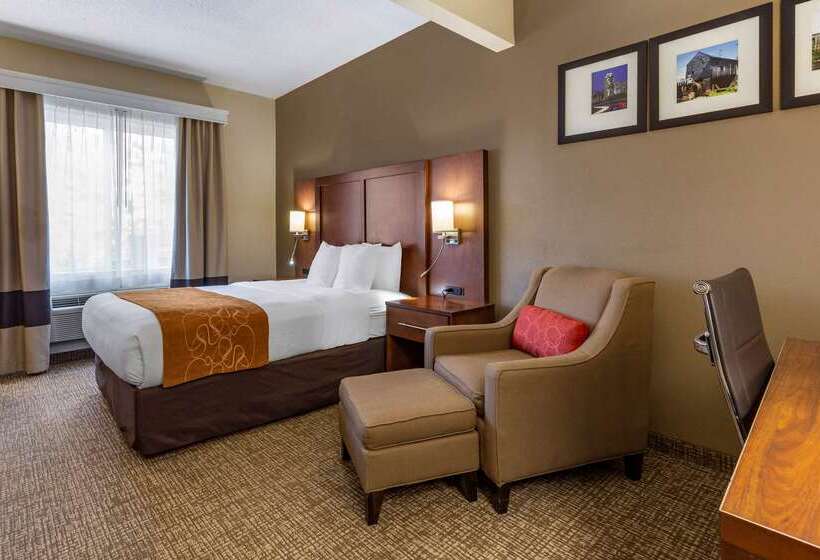 ホテル Comfort Suites Raleigh Walnut Creek