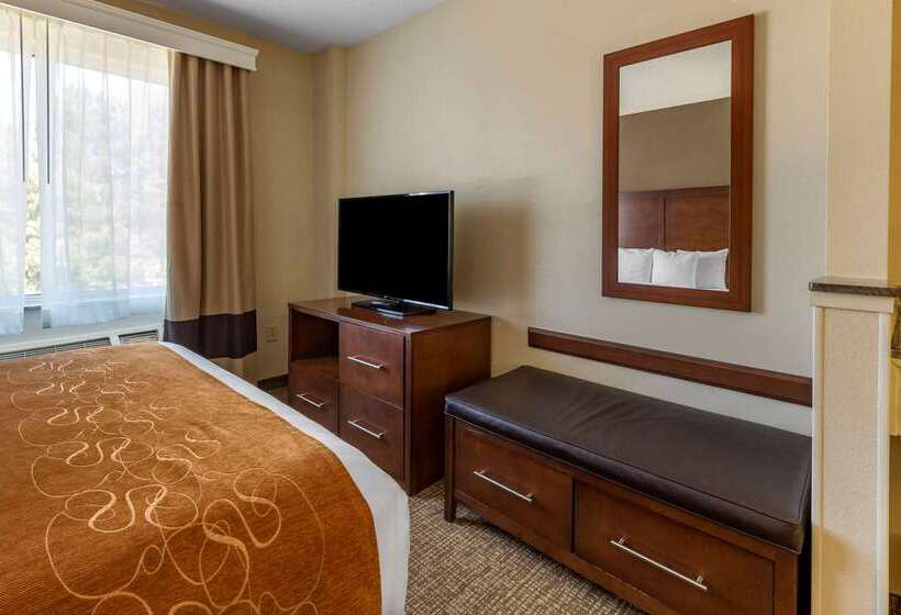 ホテル Comfort Suites Raleigh Walnut Creek