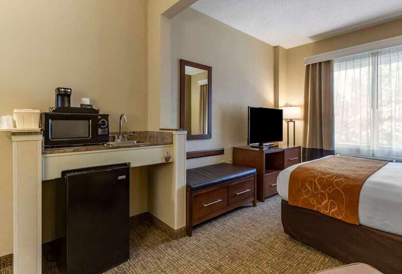 ホテル Comfort Suites Raleigh Walnut Creek