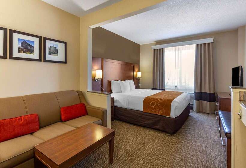 Hotel Comfort Suites Raleigh Walnut Creek