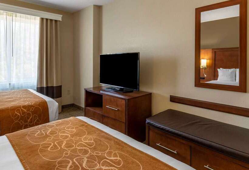 Hotel Comfort Suites Raleigh Walnut Creek