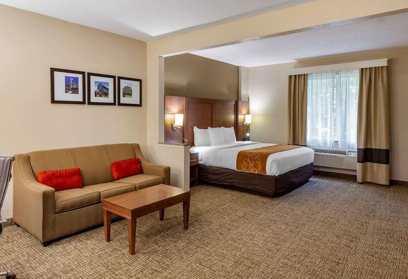 هتل Comfort Suites Raleigh Walnut Creek