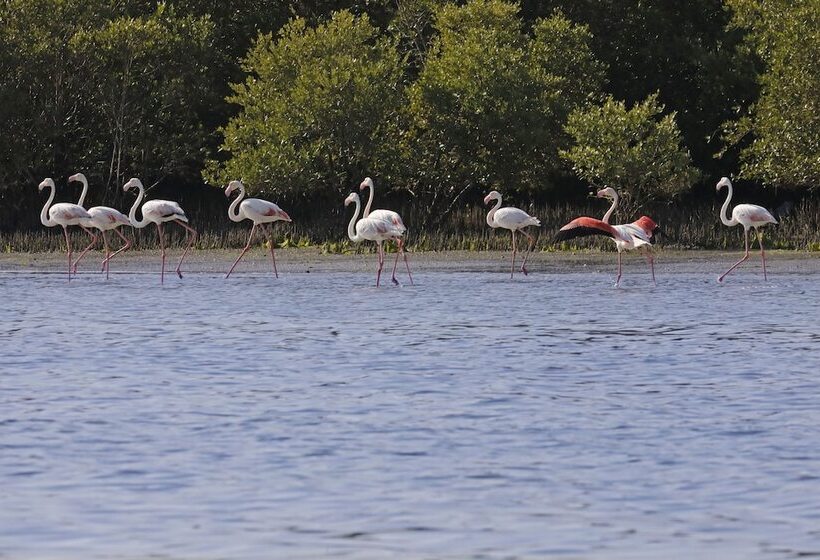 هتل Flamingo Beach