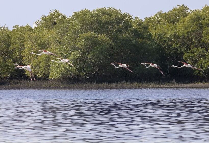 هتل Flamingo Beach