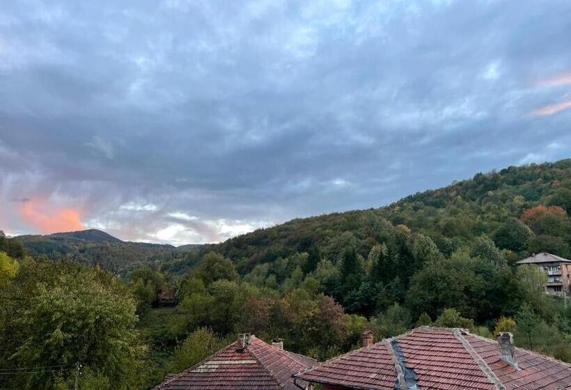 هتل Guesthouse Hitar Petar