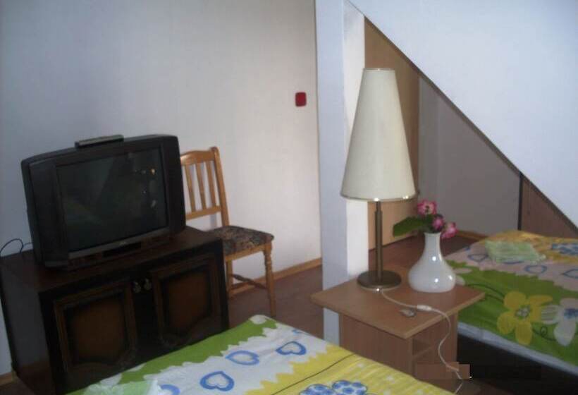 Fotos del hotel Hostel Gonzo:  51