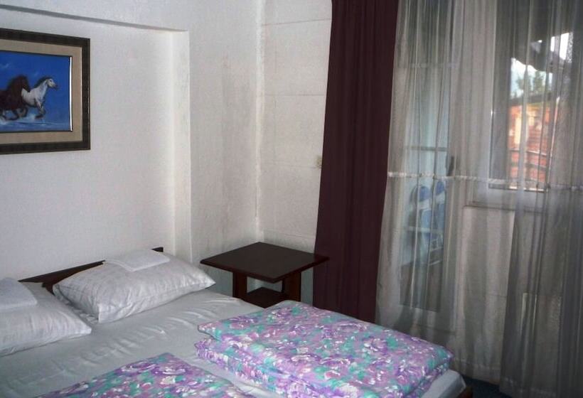 Fotos del hotel Hostel Gonzo:  15