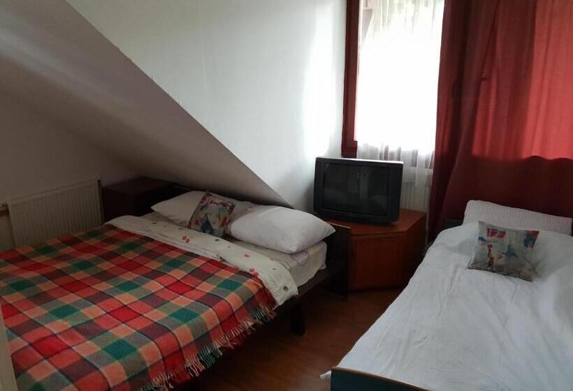 Fotos del hotel Hostel Gonzo:  20
