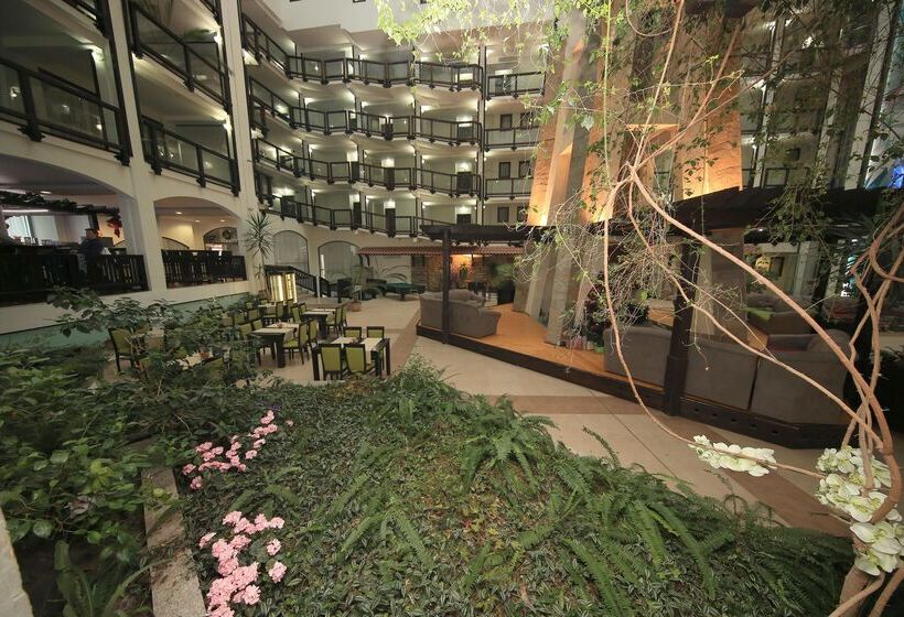 Fotos del hotel Mpm Hotel Guinness:  53