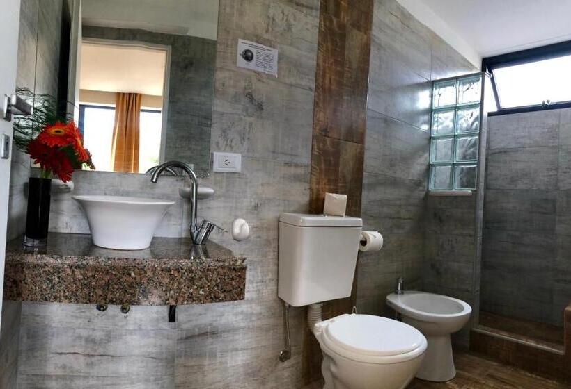 هتل San Remo New Viking