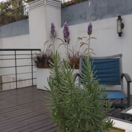 Fotos del hotel Telmho Hotel Boutique:  2