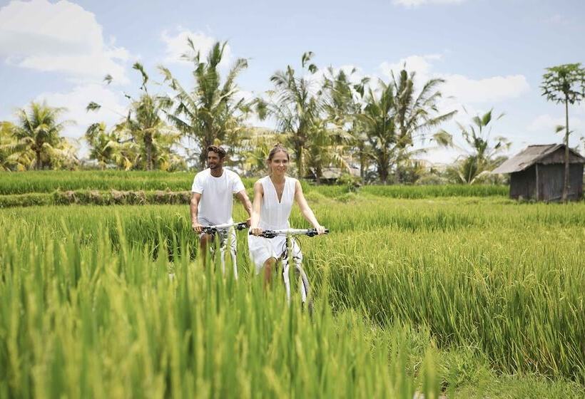 Fotos del hotel Viceroy Bali:  4