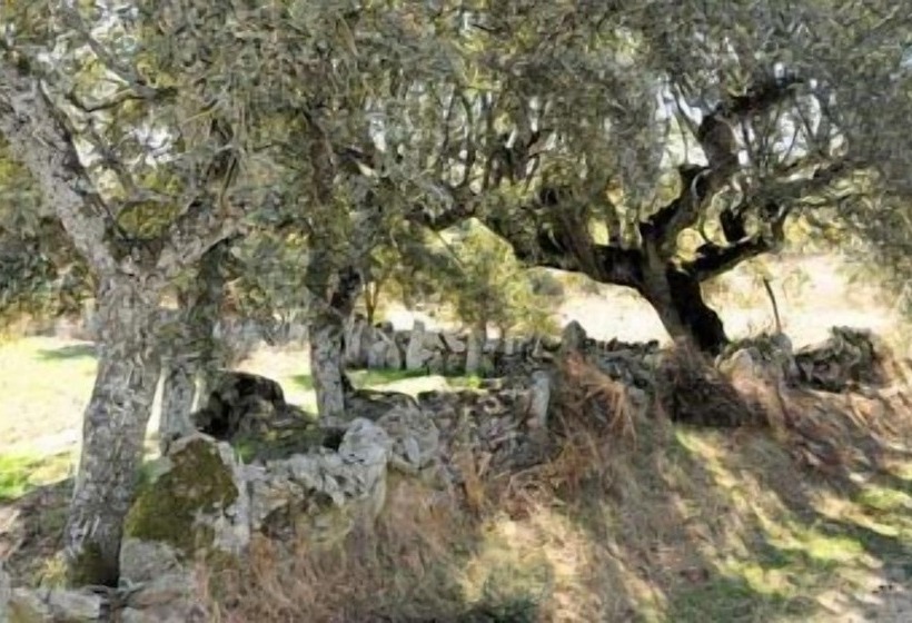 Posada Real La Mula De Los Arribes