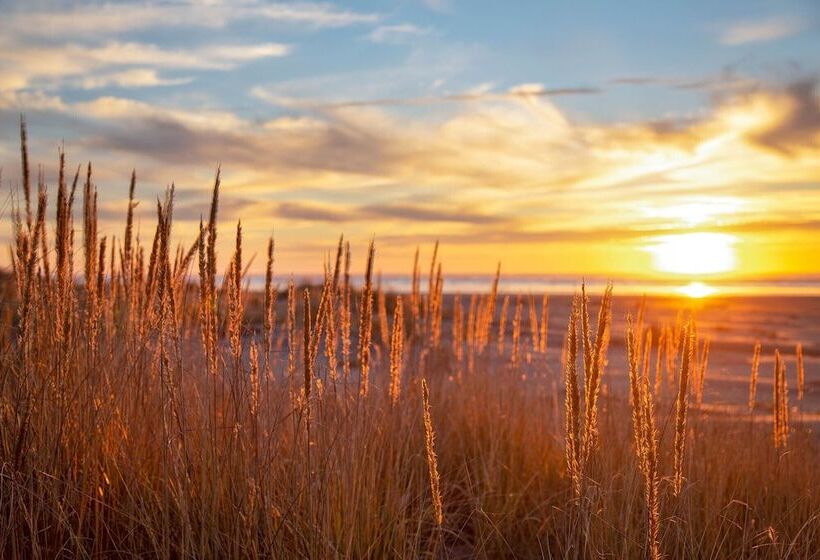 فندق Hi Tide Resort