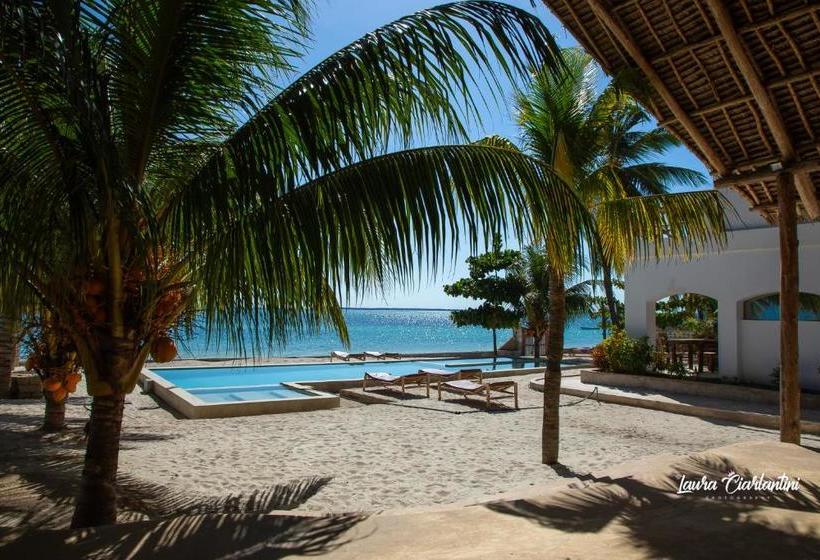 فندق Moonshine Uroa Dikoni Boutique