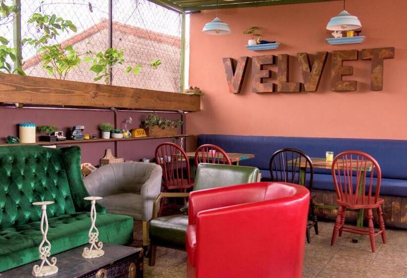 پانسیون Velvet Hostal La Novena